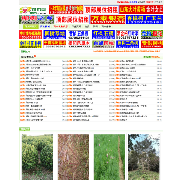 597mm.com
