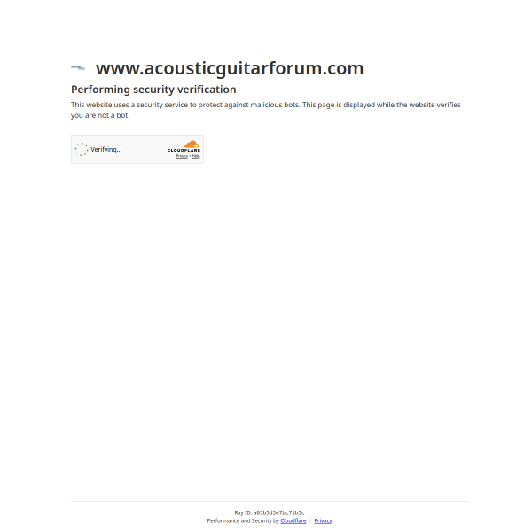 acousticguitarforum.com