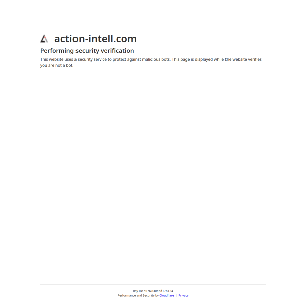 action-intell.com