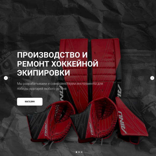 ainusport.ru
