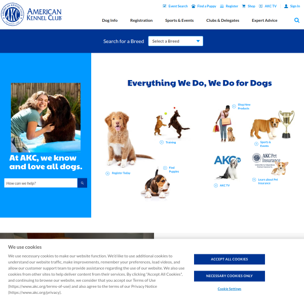 akc.org