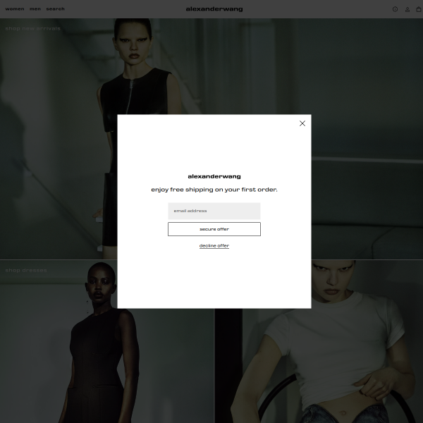 alexanderwang.com