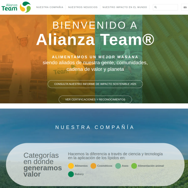 alianzateam.com
