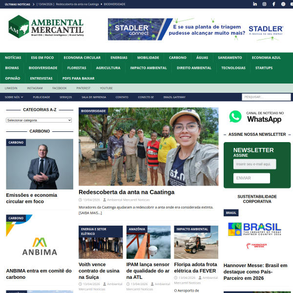 ambientalmercantil.com