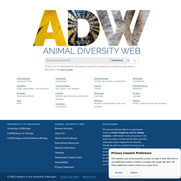 animaldiversity.org