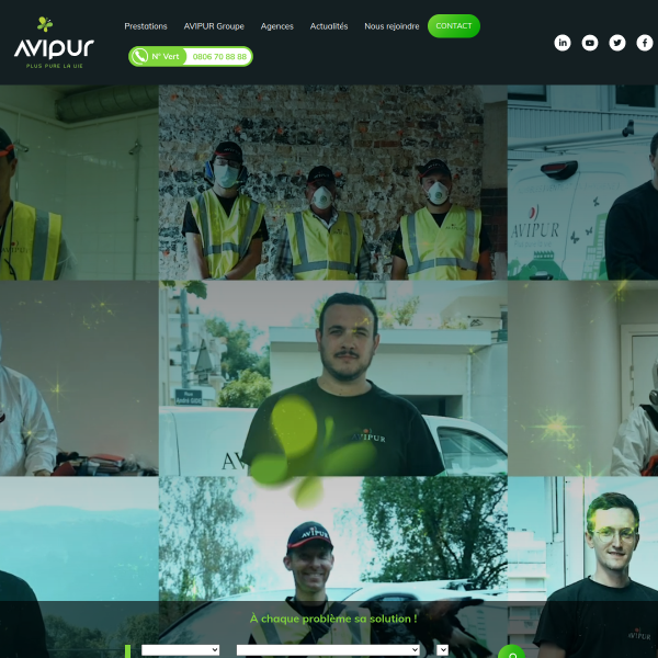 avipur.com