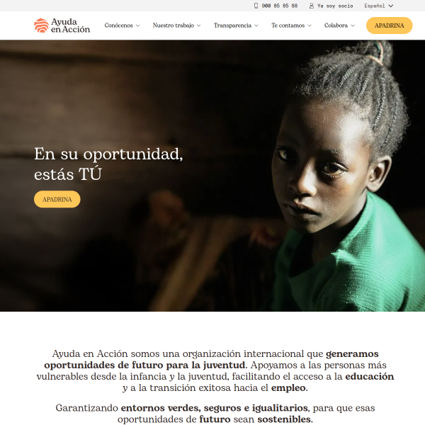 ayudaenaccion.org