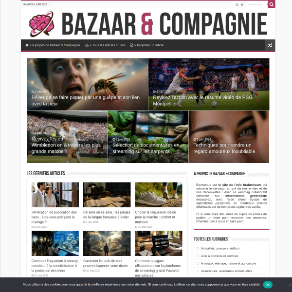bazaaretcompagnie.com