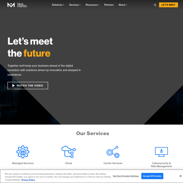 bluemantis.com