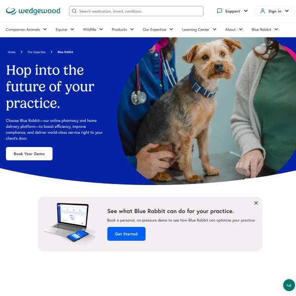 bluerabbit.vet