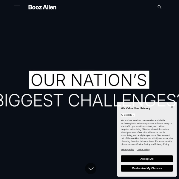 boozallen.com