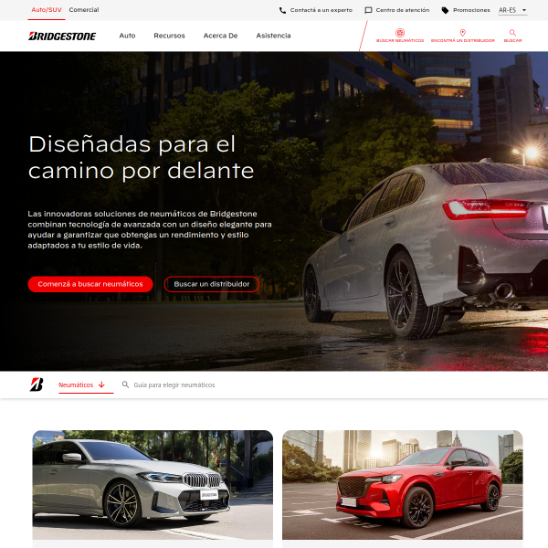 bridgestone.com.ar