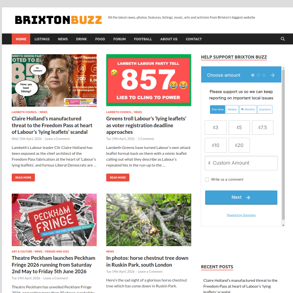 brixtonbuzz.com
