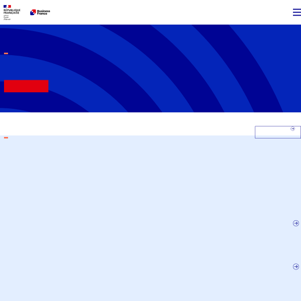 businessfrance.fr