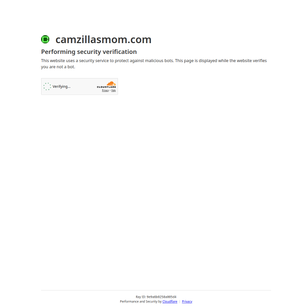 camzillasmom.com