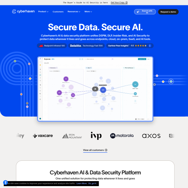 cyberhaven.io
