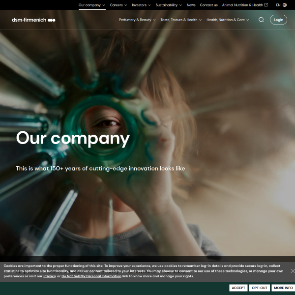 dsm.com