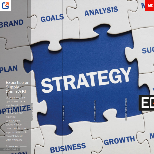 egs-expertise.com