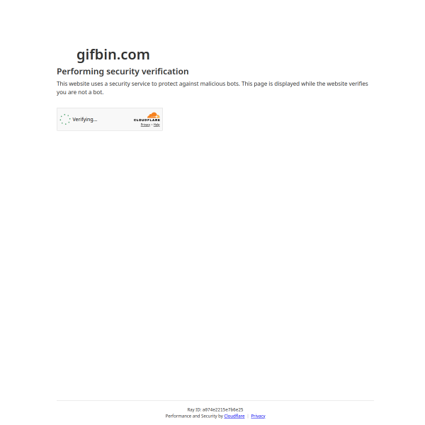 gifbin.com