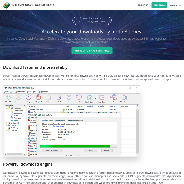 internetdownloadmanager.com
