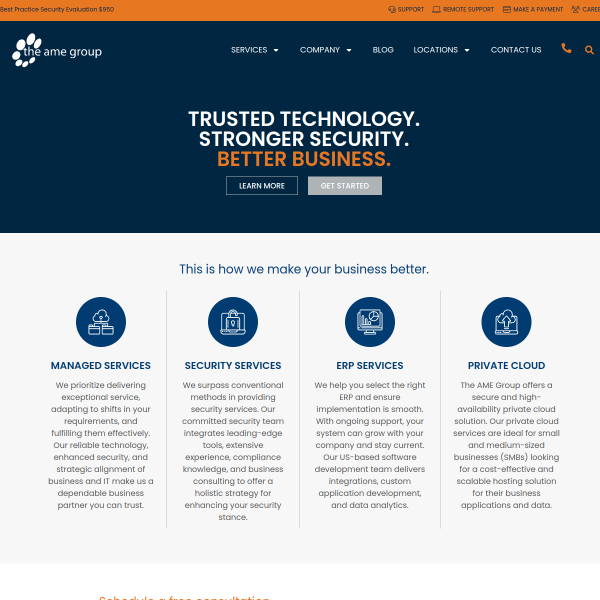 theamegroup.com